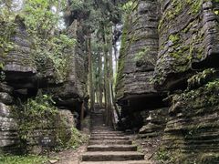 -梭布垭石林景区