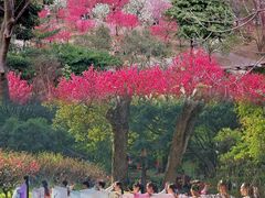 -桃花涧
