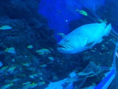 -成都浩海立方海洋公园