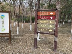 -西青郊野公园