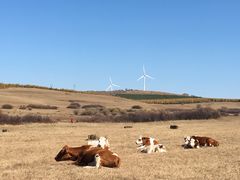-塞罕坝国家级自然保护区