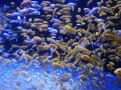 -成都浩海立方海洋公园