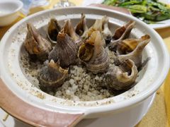 螺-旺富东海大酒楼(海鲜街店)
