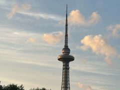 -龙塔