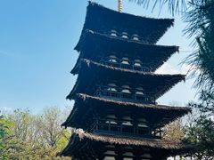 -北京世界公园
