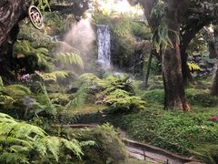 -Chom Cafe and Restaurant