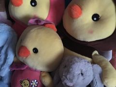 -PAWTOY爪e玩偶店(天兴罗斯福店)