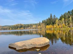 -五营红松林海景区