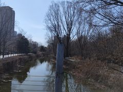 -长白岛森林公园