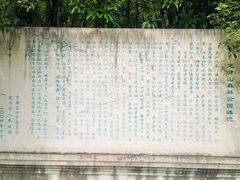 -宜兴龙背山森林公园