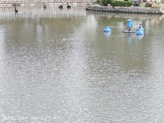 -鹅湖玫瑰文化园
