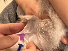 -美迦爱-牙专科·兔科·骨科诊疗中心(北苑店)