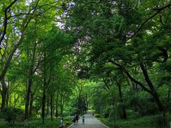 -麦当劳(长沙东风路店)