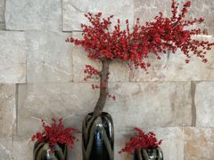 -思念果岭悦温泉