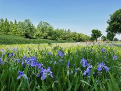 -汉长安城未央宫国家考古遗址公园