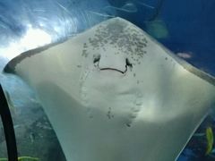 -福州罗源湾海洋世界旅游区