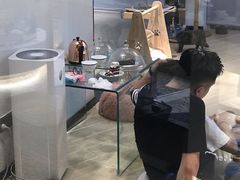 -momokira米努特·德文卷毛猫·棉花面纱犬