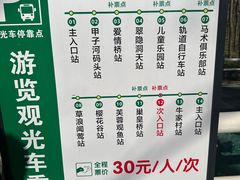 -合肥滨湖国家森林公园