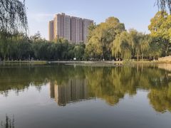 -西安市长乐公园