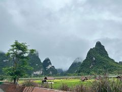 -明仕田园