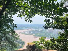 -铁山坪森林公园