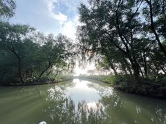 -大湾区中央湿地公园