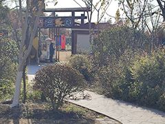 -上海长兴岛郊野公园