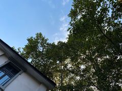 -也枫·小黄楼(南山路旗舰店)