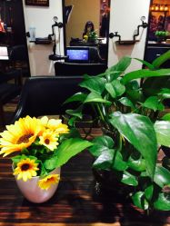 -BM SALON