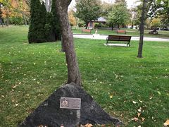 景点-滨湖尼亚加拉