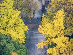 -灵谷景区