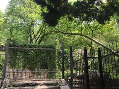 -灵谷景区