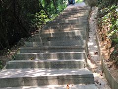 -火炉山森林公园