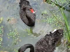 -昆山城市生态森林公园