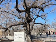-北陵公园
