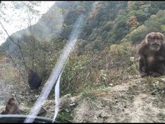 -硗碛藏寨·神木垒景区