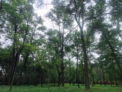 -森林公园(尖草坪区)