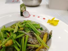 -飞鹿餐饮·陕南菜(北关店)