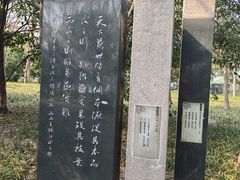-高子水居