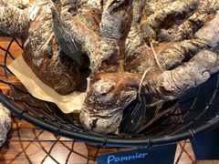 Pommier-Pain des Philosophes