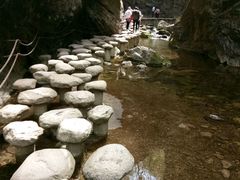 -牛背梁国家森林公园