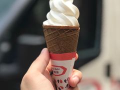 -富豪雪糕车流动点(尖沙咀店)