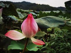 -碧水峡漂流
