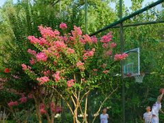 -杭州城北体育公园