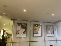 -崇尚GAVIN STYLE臻选