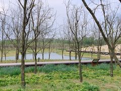 -东郊湿地公园