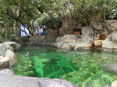 -湖泉半山温泉