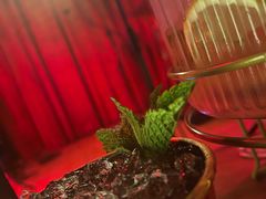 -音乐房子·Vintage Live Bar(玉林总店)