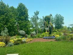 -盐城丹顶鹤湿地生态旅游区