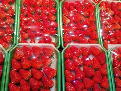 -果蔬好生活超市(乐堤港店)